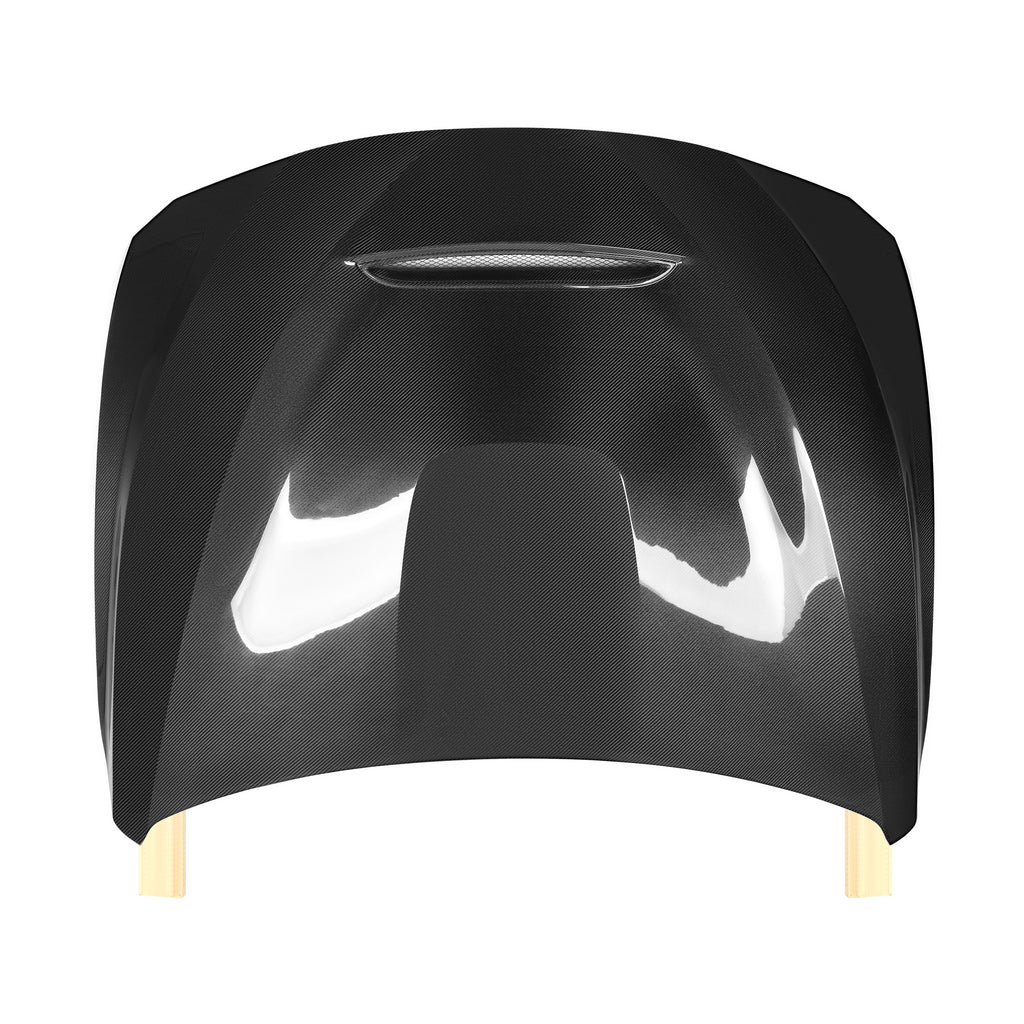 BMW F30 CARBON FIBER HOOD GTS STYLE